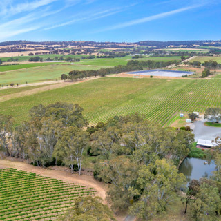 Aerial-of-the-vineyards.jpg